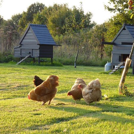 The Oaks Glamping - Magpie Half Shepherds Hut Hotel Colkirk Екстериор снимка